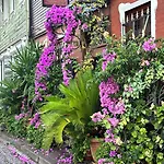 招待所 艾哈迈德伊芬迪伊芙酒店