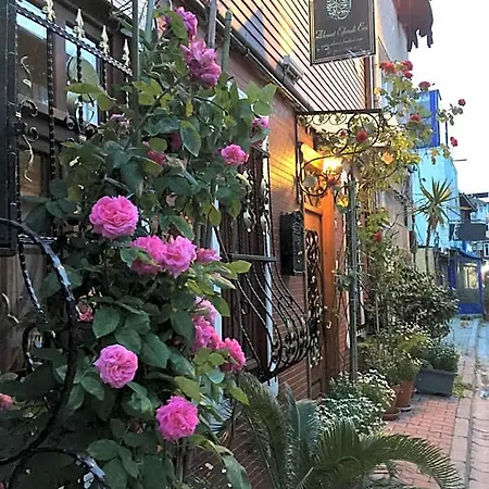 艾哈迈德伊芬迪伊芙酒店