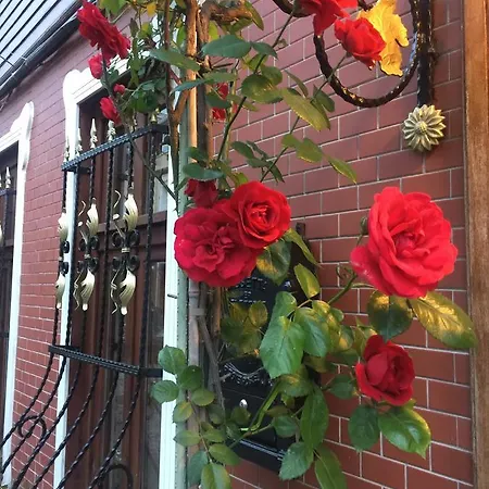 Ahmet Efendi Evi Casa de hóspedes Istambul