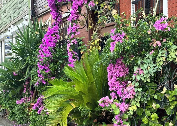 Guest house Ahmet Efendi Evi