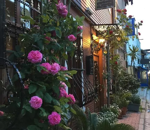 Guest house Ahmet Efendi Evi