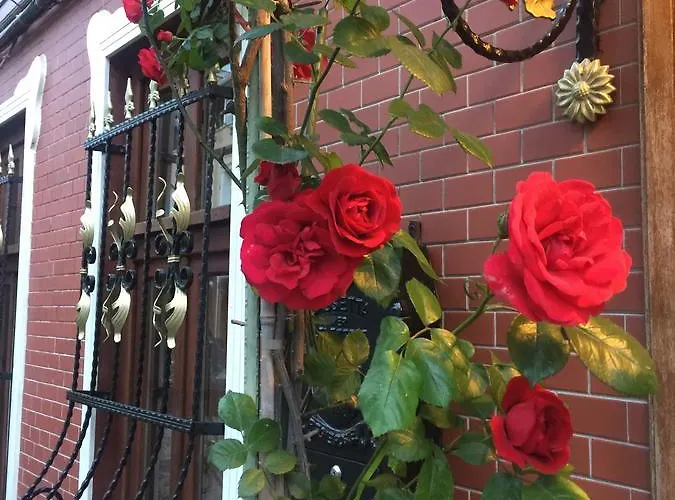 Ahmet Efendi Evi Guest house Istanbul