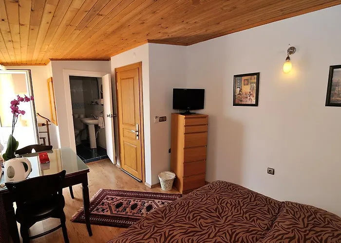 Gasthuis Ahmet Efendi Evi 4*