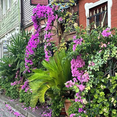 Maison d'hôtes Ahmet Efendi Evi